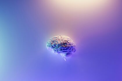 blue and green peacock feather