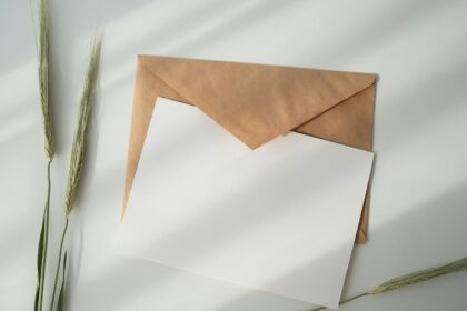 white paper and brown envelope