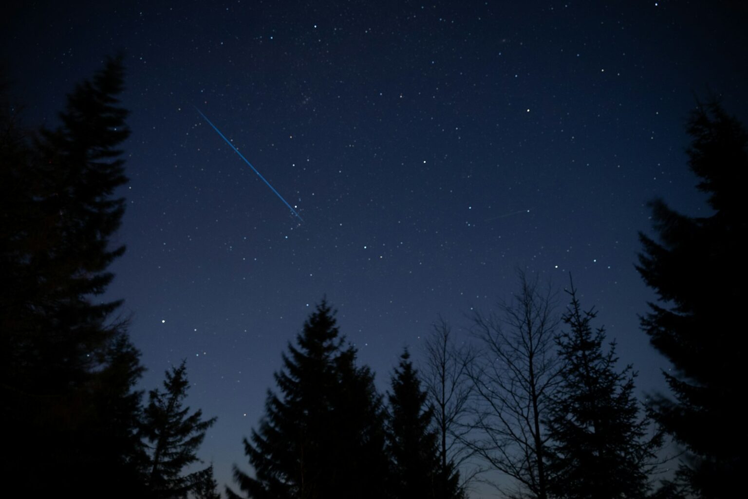 A night sky with trees and a shooting star