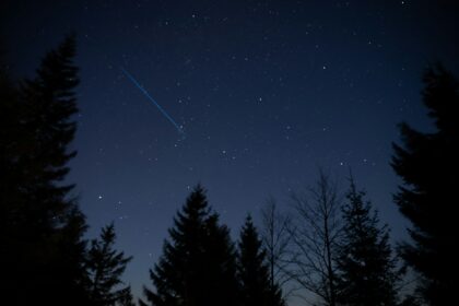 A night sky with trees and a shooting star